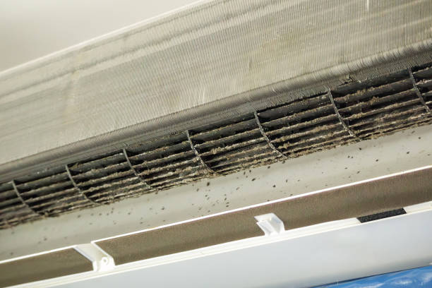 Best HVAC System Cleaning  in Indian Harbour Beach, FL